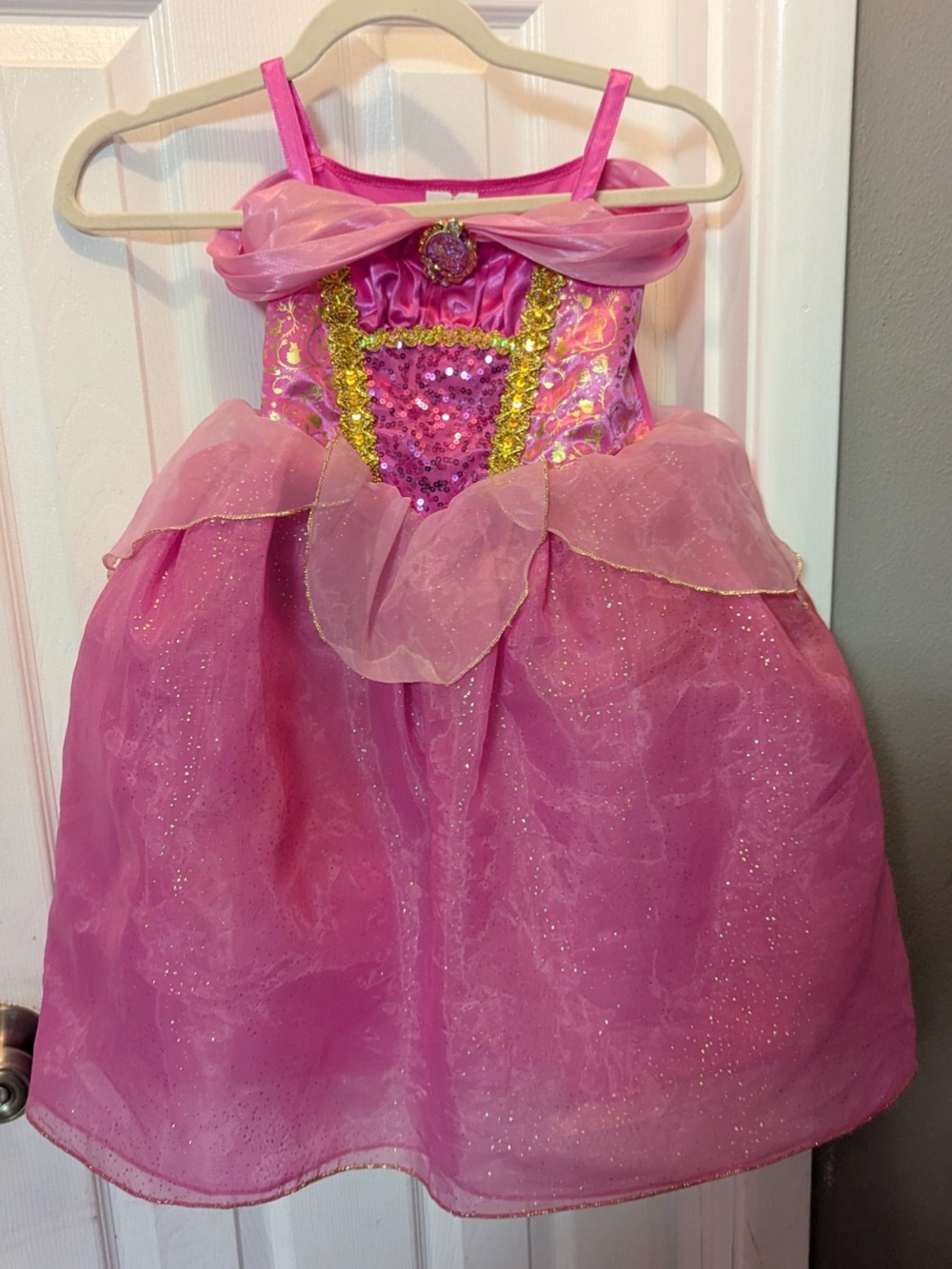 Disney Park exclusive Princess Aurora Costume Dress